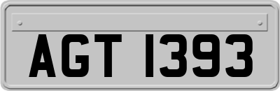 AGT1393
