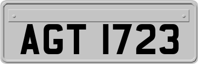 AGT1723