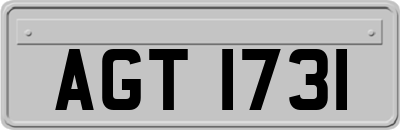 AGT1731