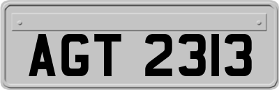 AGT2313
