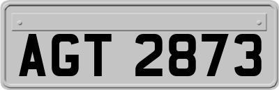 AGT2873