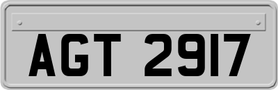 AGT2917