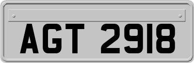 AGT2918