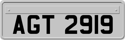 AGT2919