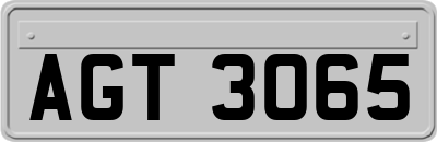AGT3065