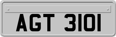 AGT3101