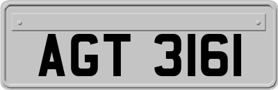 AGT3161