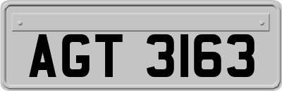 AGT3163