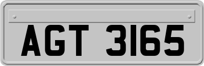 AGT3165
