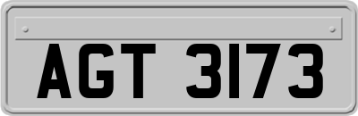 AGT3173