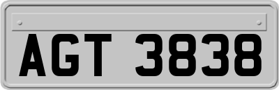 AGT3838