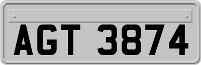 AGT3874