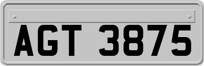 AGT3875