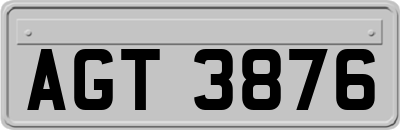 AGT3876