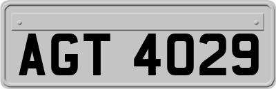 AGT4029