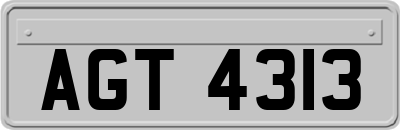 AGT4313