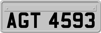 AGT4593