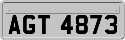 AGT4873