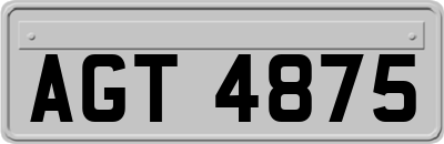 AGT4875
