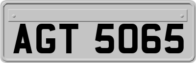 AGT5065
