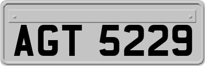 AGT5229
