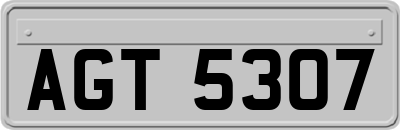 AGT5307