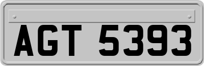 AGT5393