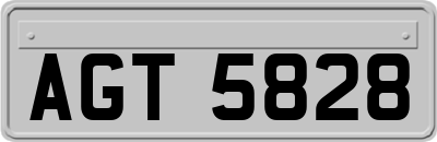 AGT5828