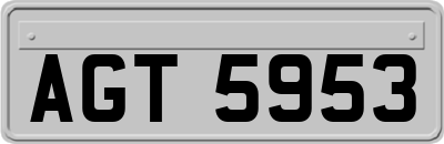 AGT5953