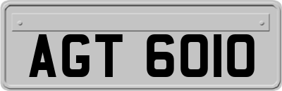 AGT6010