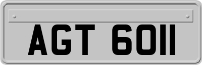 AGT6011