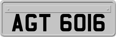 AGT6016