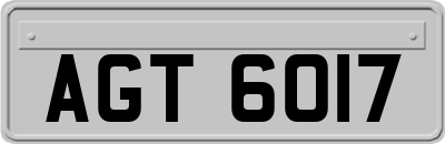 AGT6017