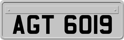 AGT6019