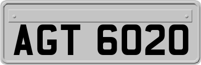 AGT6020