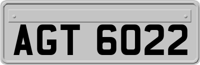 AGT6022