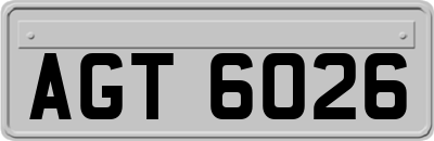 AGT6026