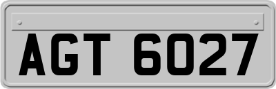 AGT6027