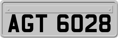 AGT6028
