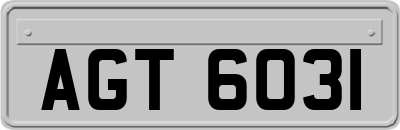 AGT6031