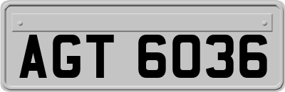 AGT6036
