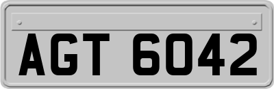 AGT6042