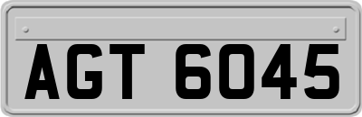 AGT6045