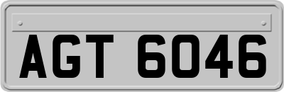 AGT6046