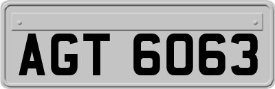 AGT6063