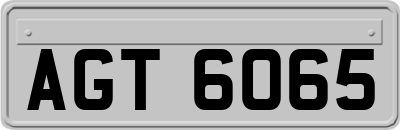 AGT6065