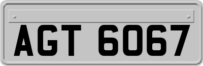 AGT6067