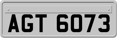AGT6073