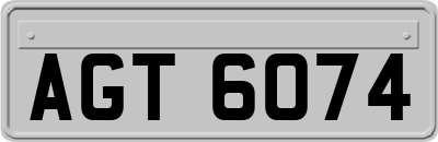 AGT6074