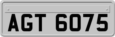 AGT6075